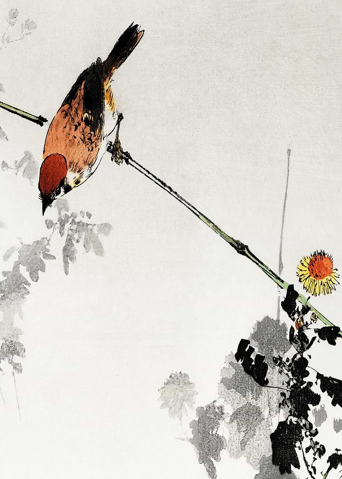 Swallow On Branch Traditio