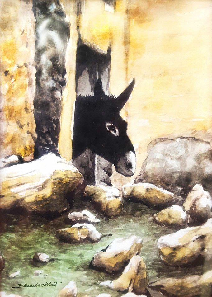 Donkey in Farmhouse Window