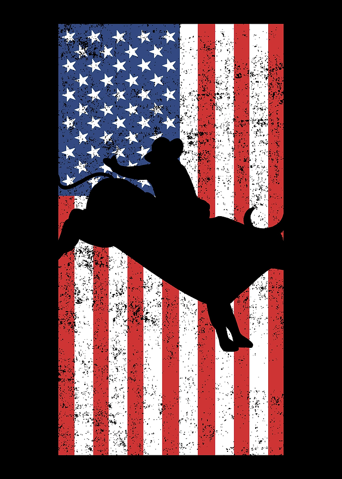 Rodeo Amerika Reiten Flagg
