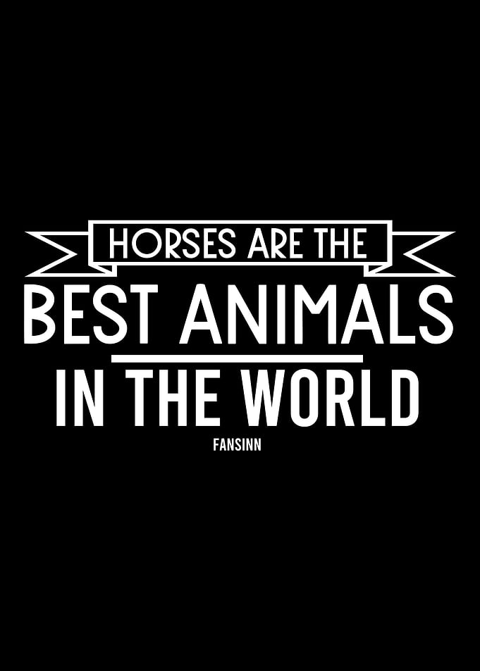 Horse riding stables Sport