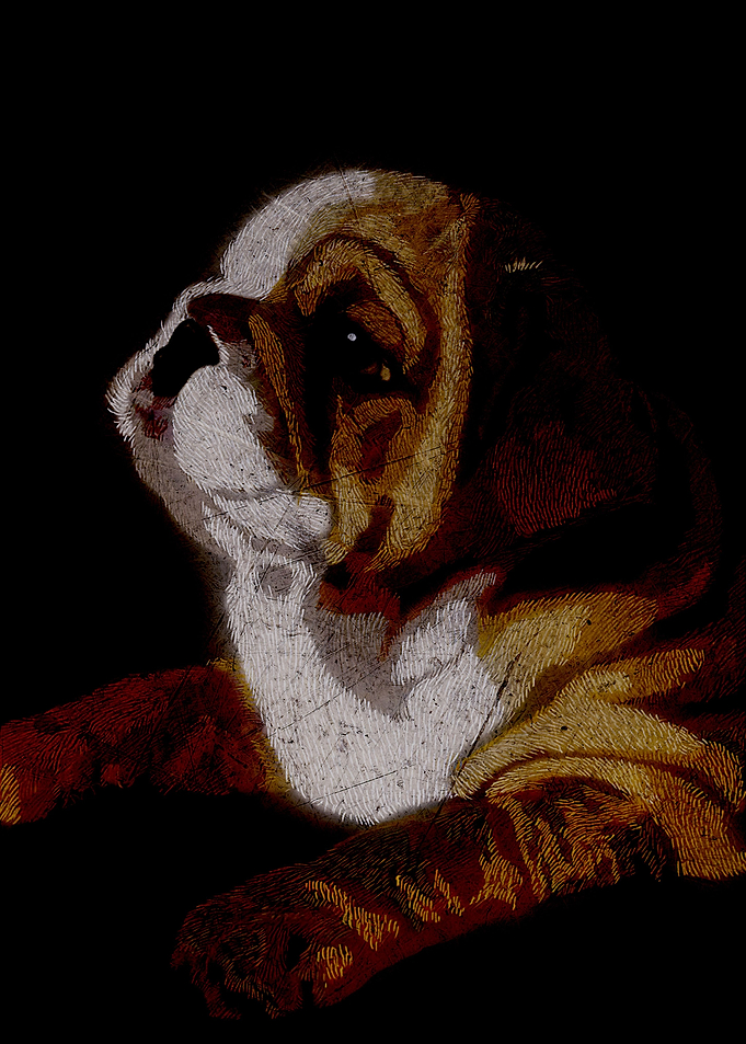 Bulldog