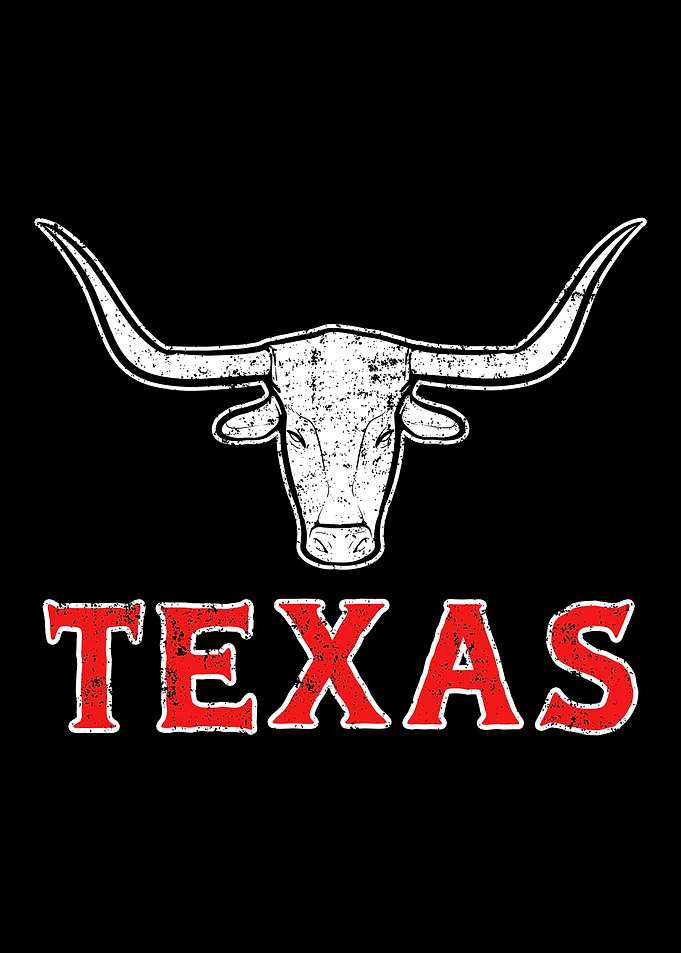 Texas Stier Motiv Vintage