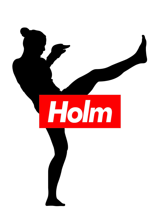 UFC MMA Holly Holm
