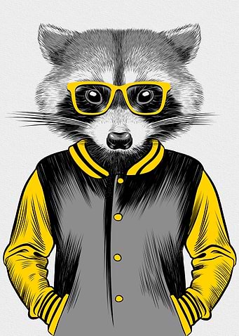 Raccoon Nerd
