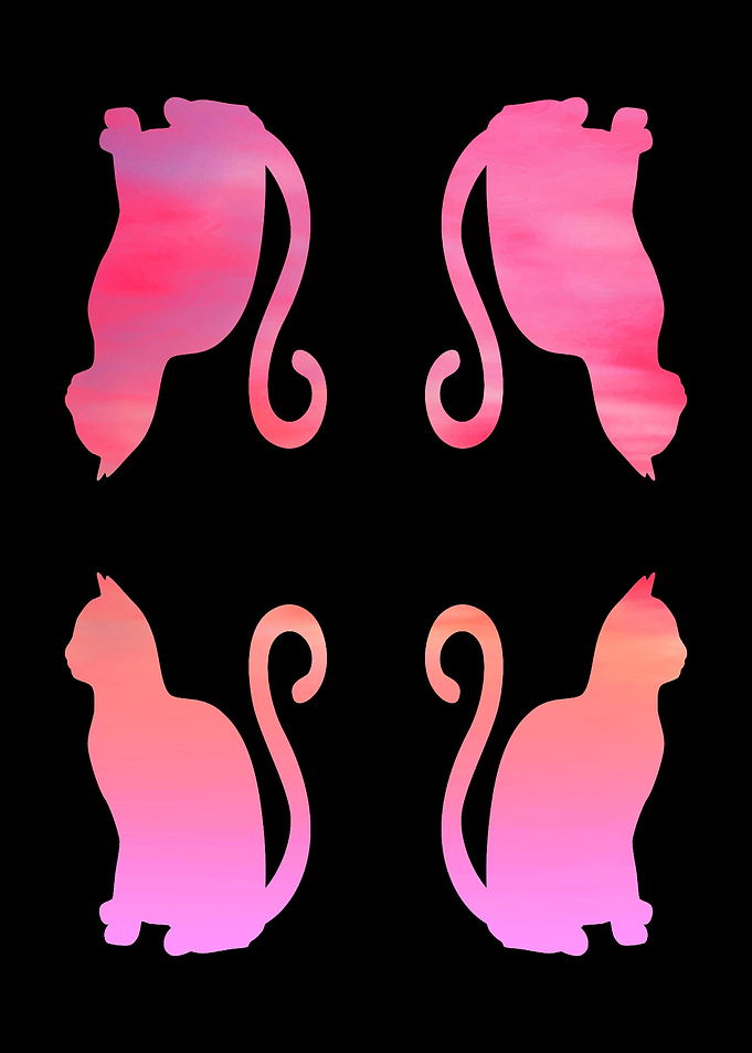 Lovely Cats Design Cat