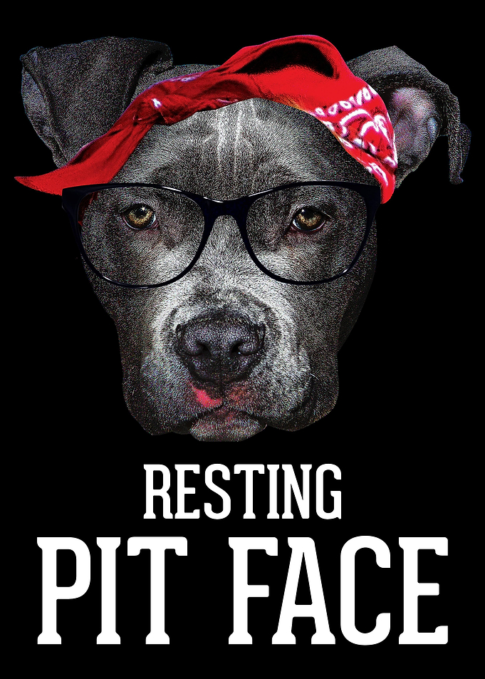 Pitbull Resting Pit Face
