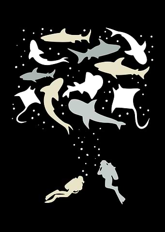 Scuba Diving