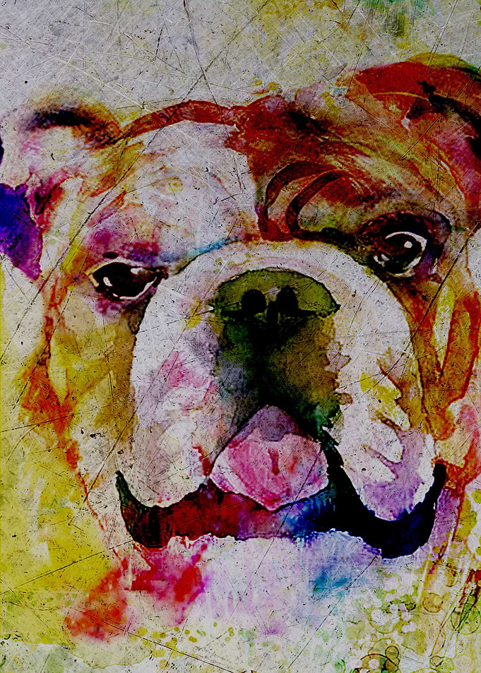 Bulldog