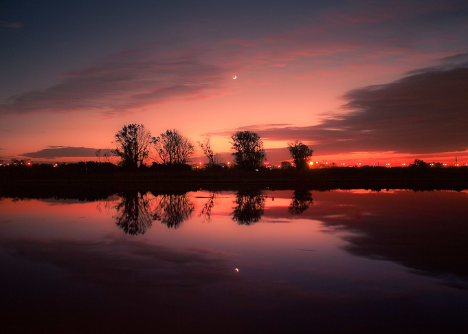Under a Glass Moon Light