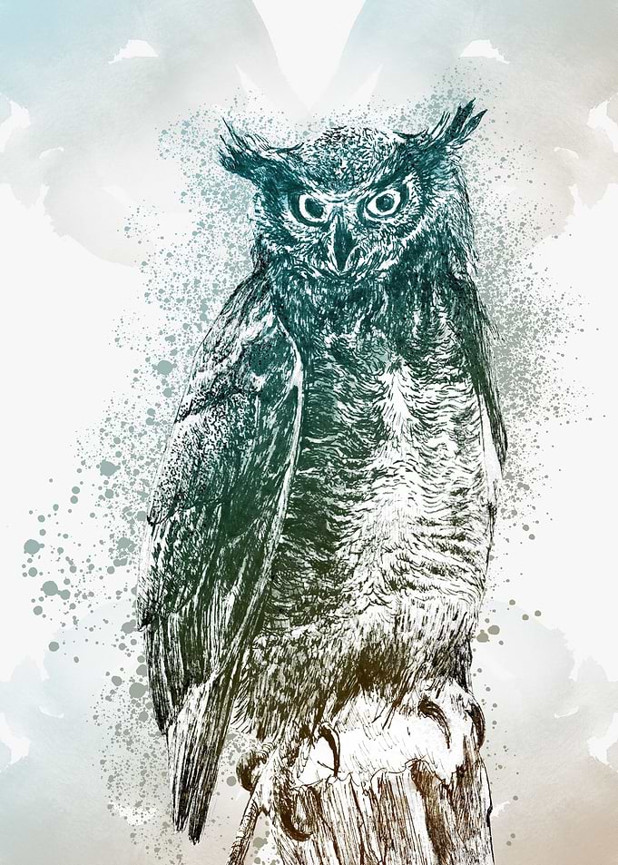 Wise owl