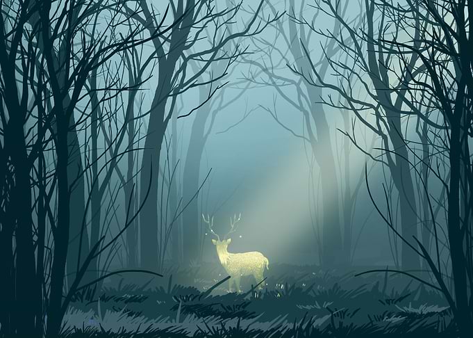 Deer Animal in the Forest