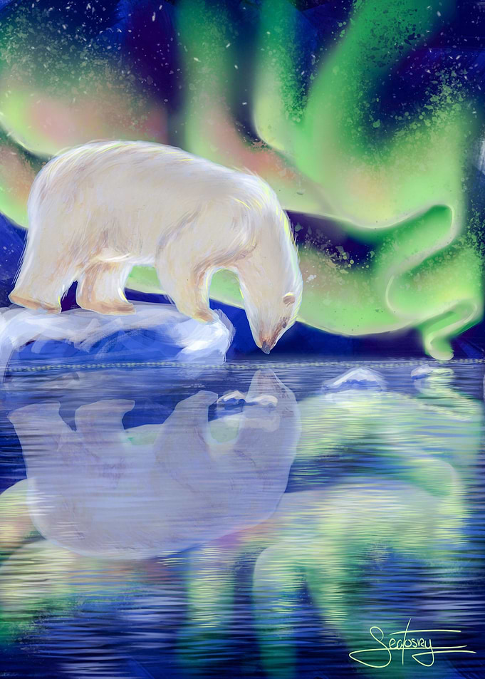 Polar Lights
