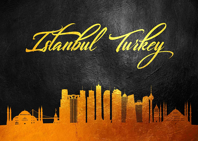Istanbul Turkey Skyline