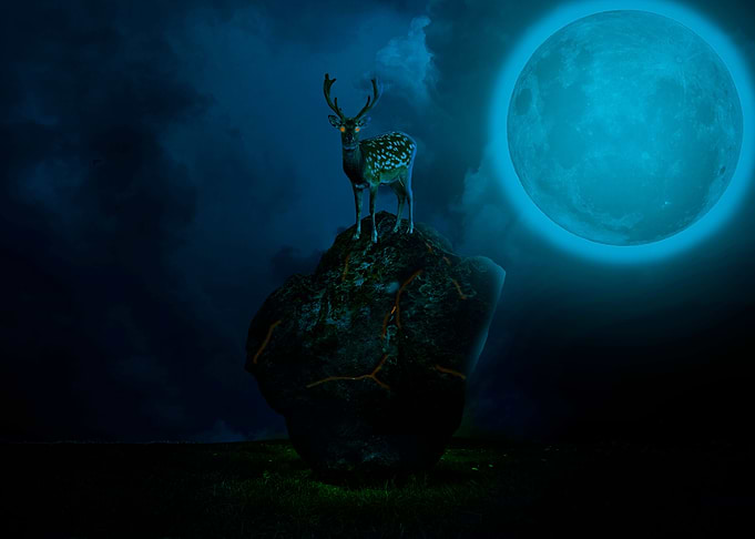 Dark Deer
