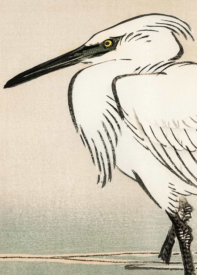 White Egret Traditional Ja