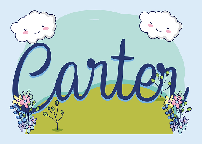 CARTER Baby Name Sign Gift