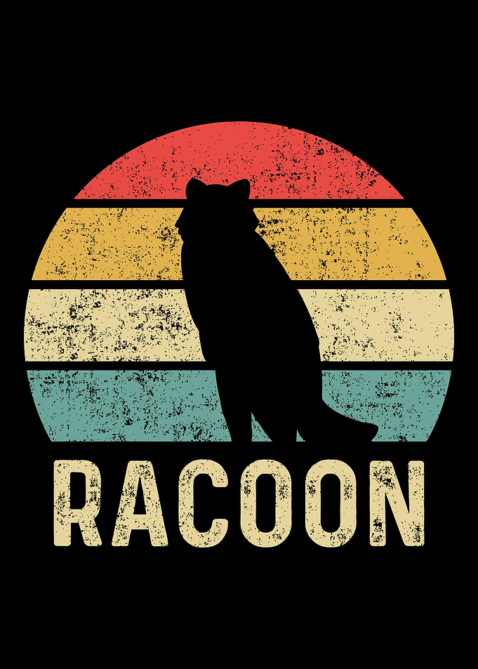 Racoon Waschbr Tiere Retr
