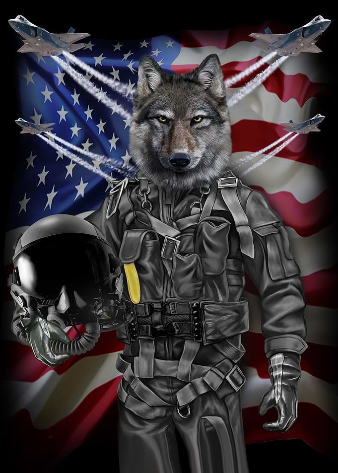 Grey Wolf in Air Force
