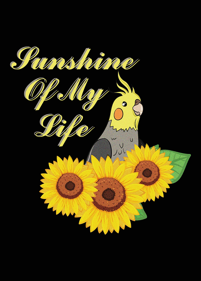 Cockatiel Bird Gift