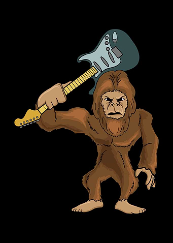 Guitarist