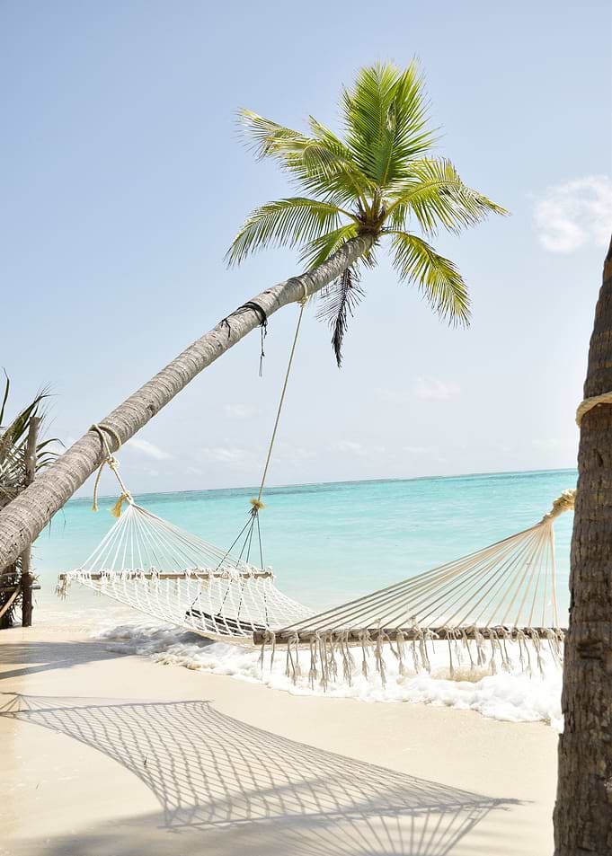Palm Beach with hammock