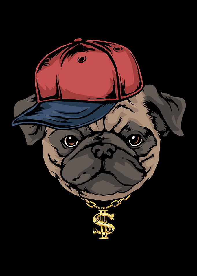 Hip Hop Pug