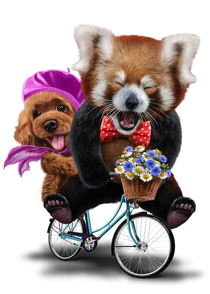Red Panda with Poodle Dog