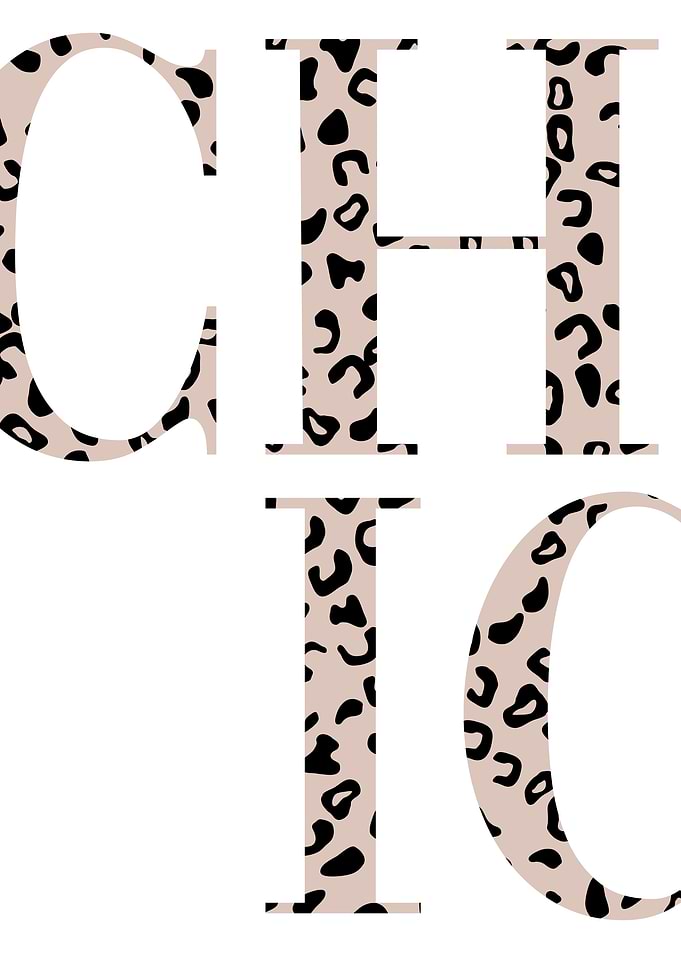 Chic Girl Fashion