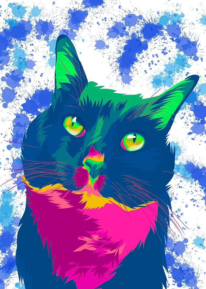 colorful cutes cat