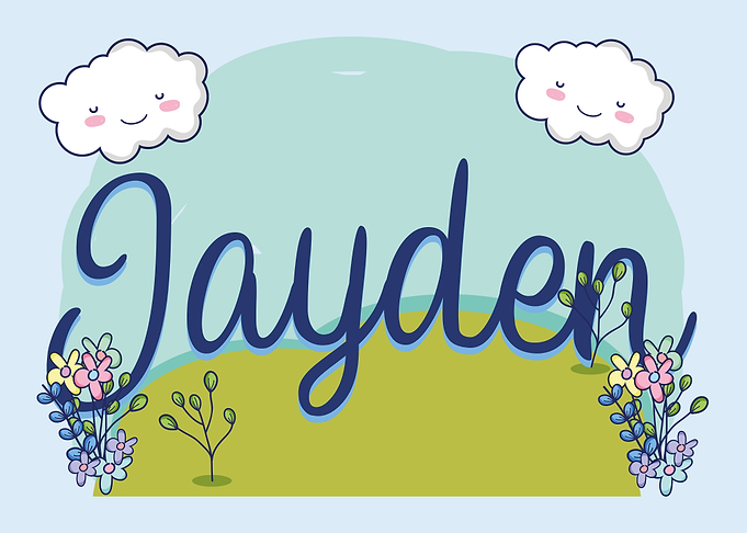 JAYDEN Baby Name Sign Gift