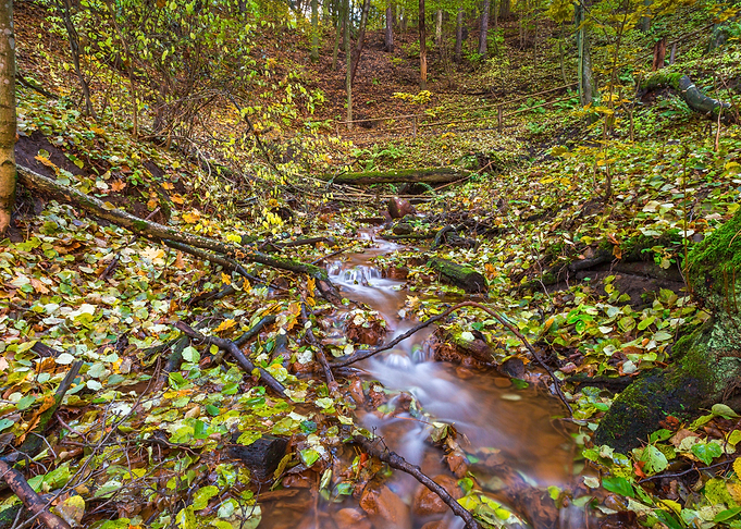 Fall Red Europe Landscape