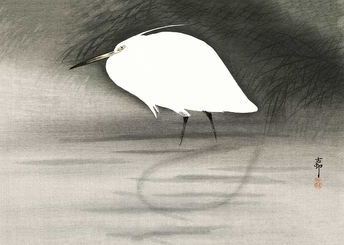 Egret