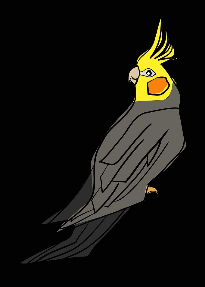Cockatiel Bird Gift