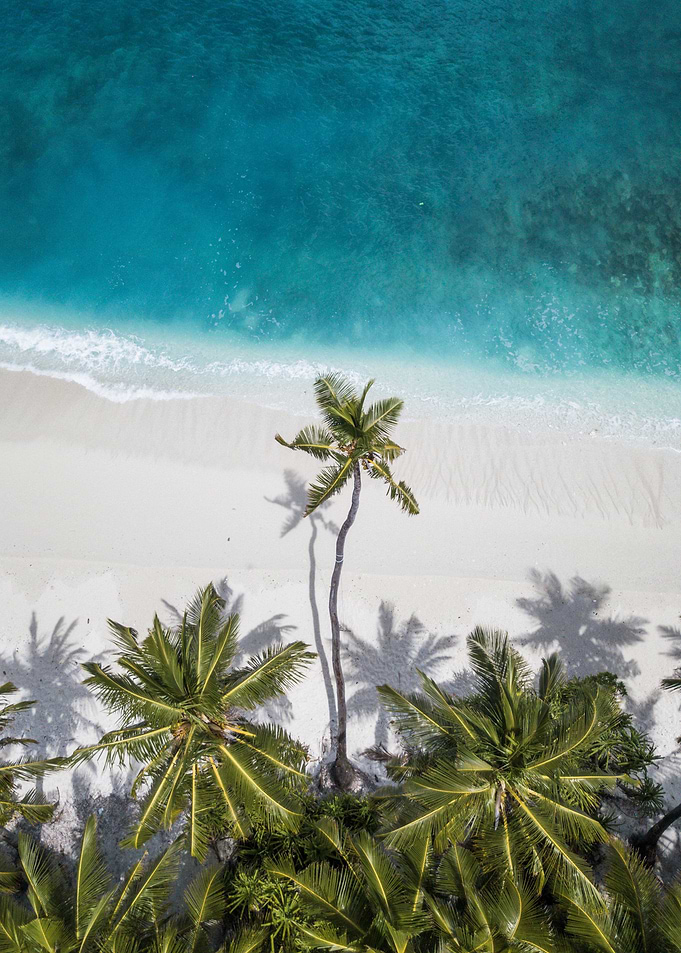 Palm Beach Sea Skyview