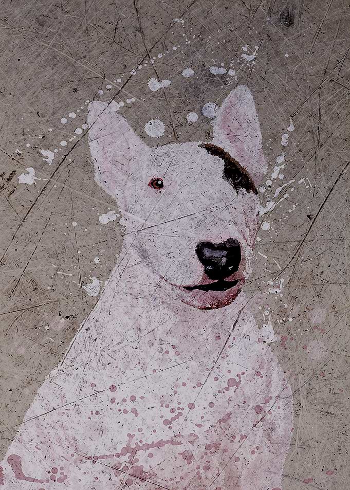 Bulldog