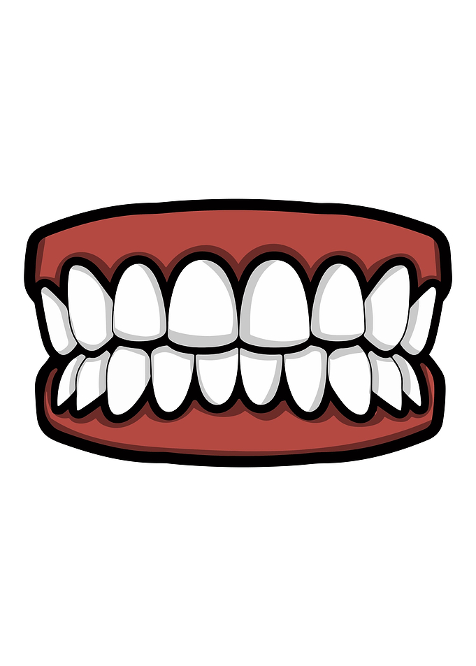 mouth face teeth tooth