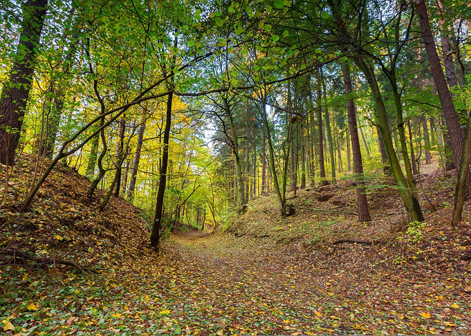 Fall Red Europe Landscape