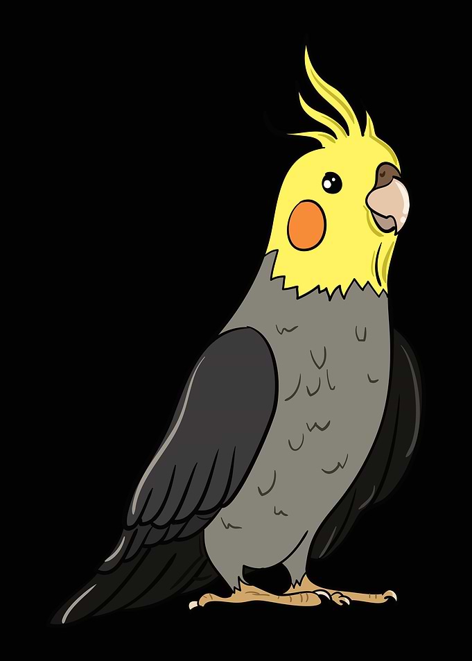Cockatiel Bird Gift