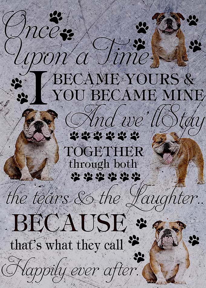 Bulldog