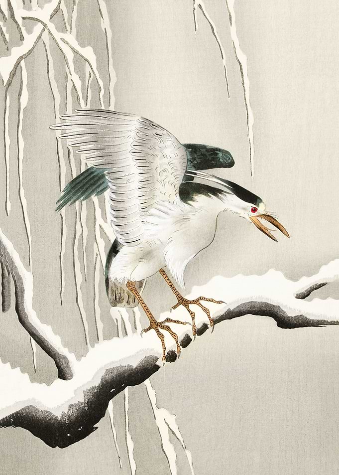 Emerge on snowy branch