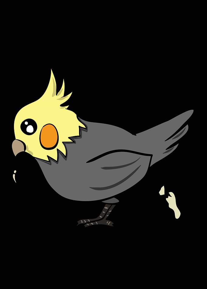 Cockatiel Bird Gift