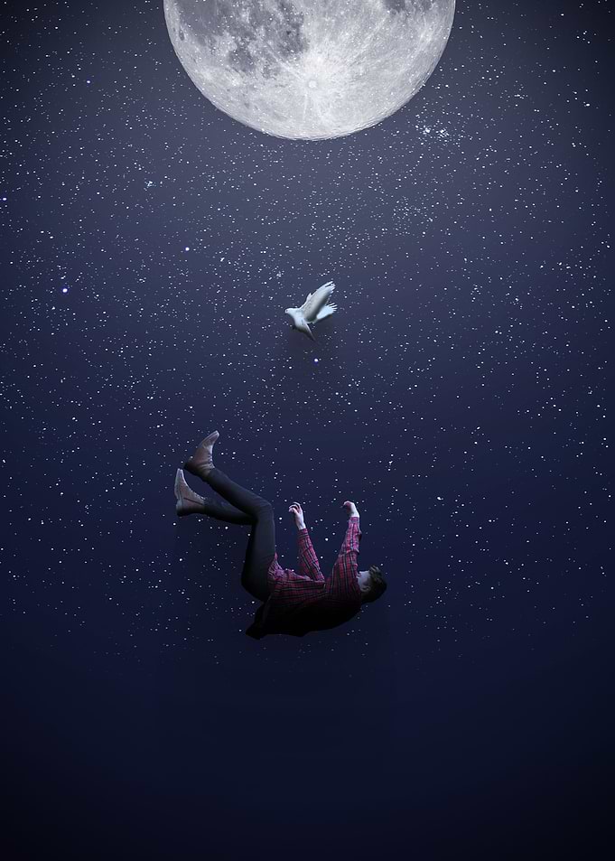 The Fall