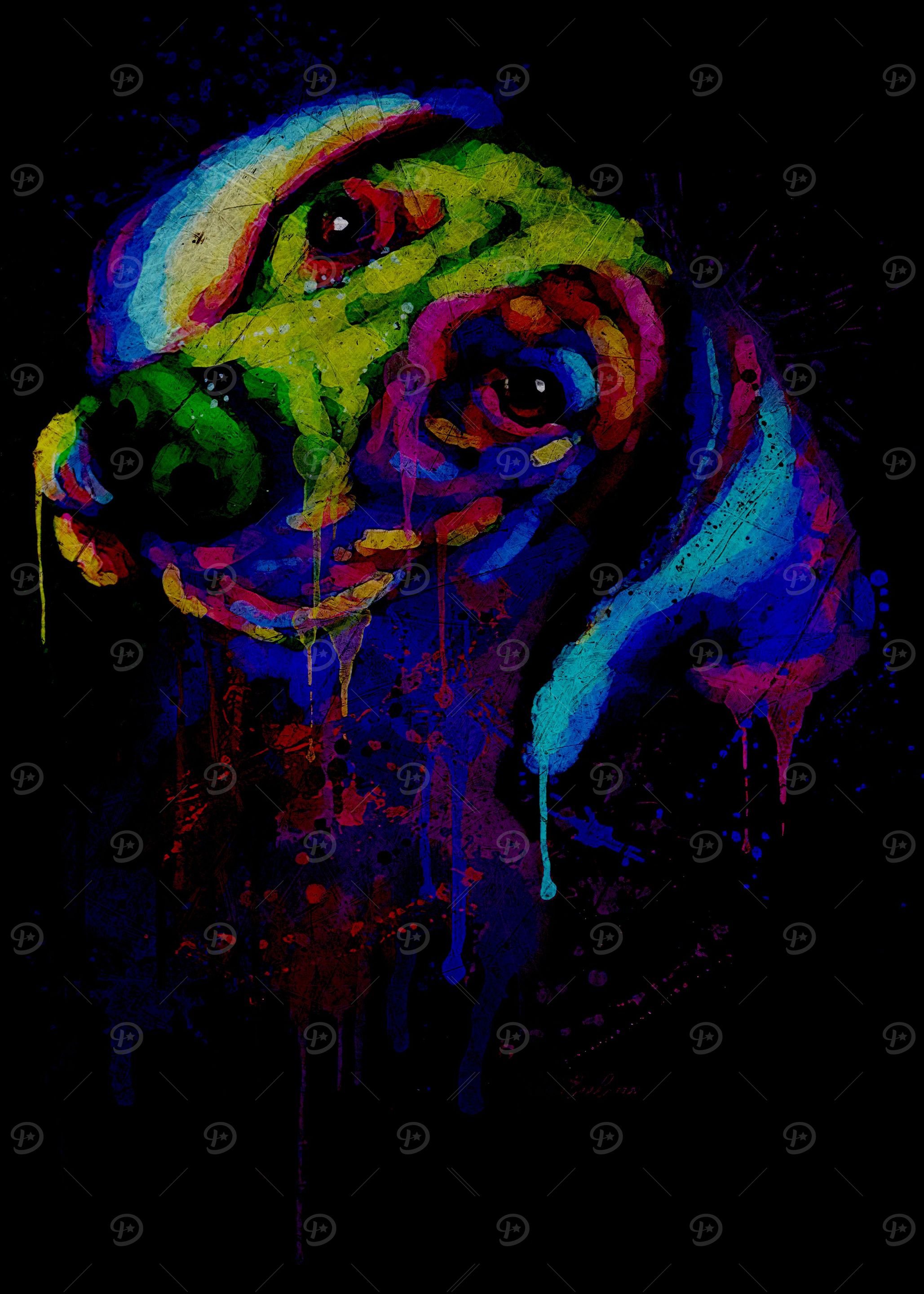 Doberman