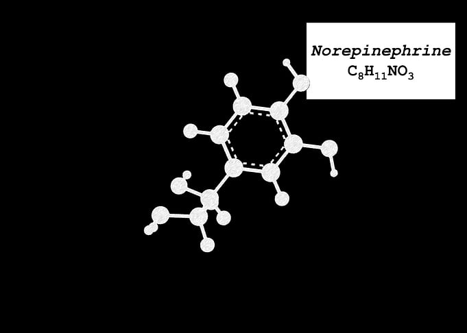 Norepinephrine