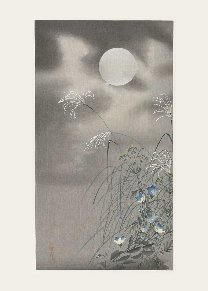 Grass and flowers