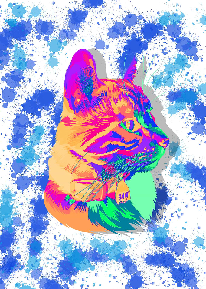 Colorful cute cat