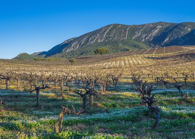 Serra da Arrabida Portugal