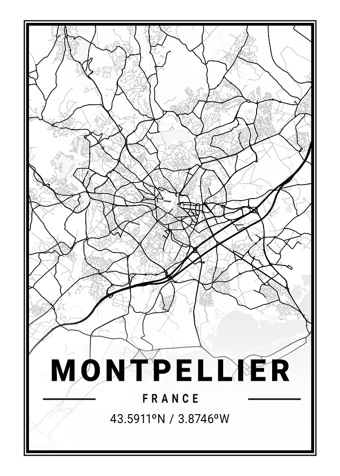 Montpellier Light City Map