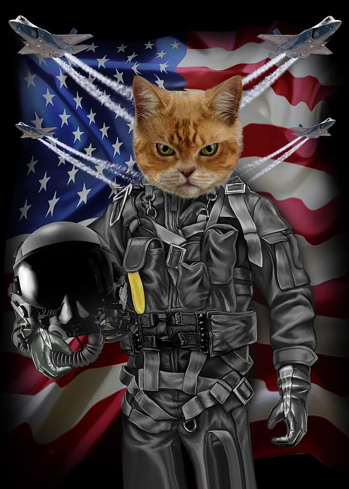 Cat Pilot in the Air Force