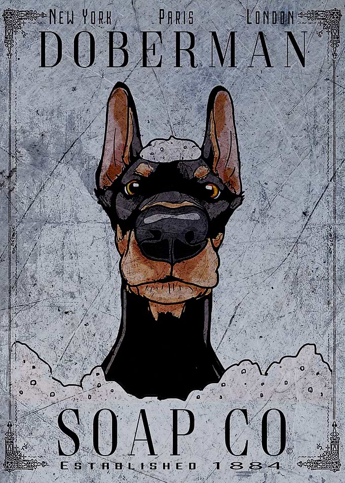 Doberman